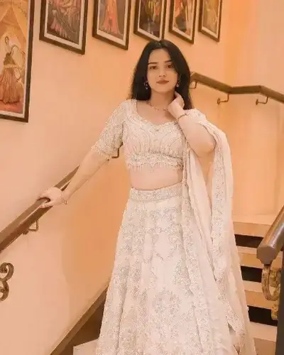 Escort Service In Narnaund